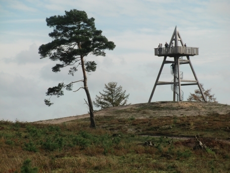 Bergen-Afferden NL : Maasdünen, auf der höchsten Düne im NSG Afferdense Duinen steht ein 12,5 Meter hoher Aussichtsturm.